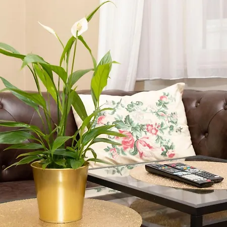 Classy Old Town Dostojevskeho Rad Apartamento *